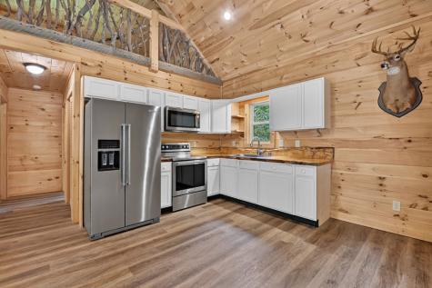 295 Ross Drive Mineral Bluff GA 30559