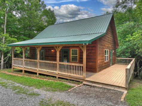 295 Ross Drive Mineral Bluff GA 30559