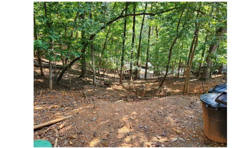 347 10th Street Ellijay GA 30540