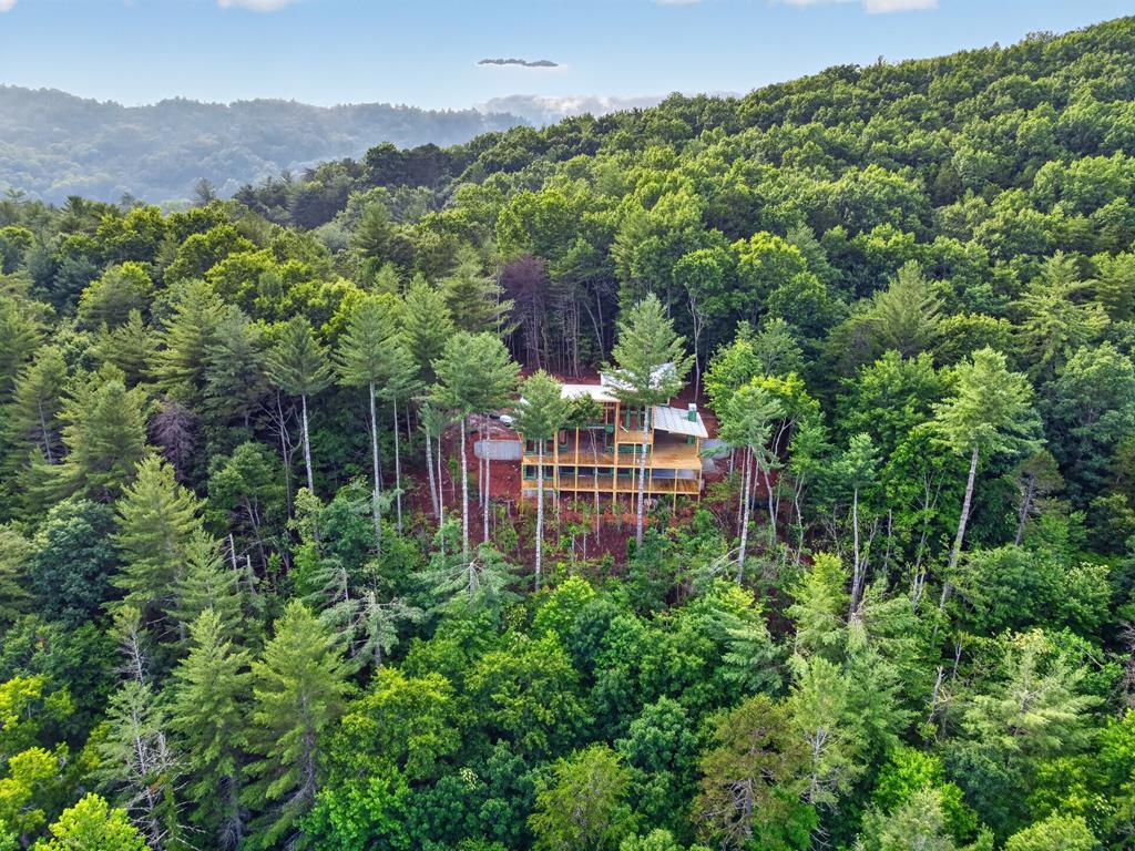 Lot 3c Stanley Creek Road Cherry Log GA 30522