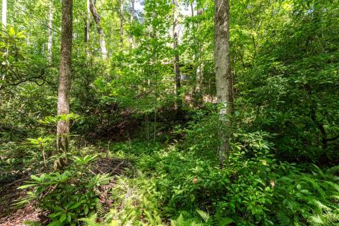211 Red Oak Forest Lane Murphy NC 28906