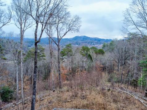 250 Lovers Leap Drive Murphy NC 28906
