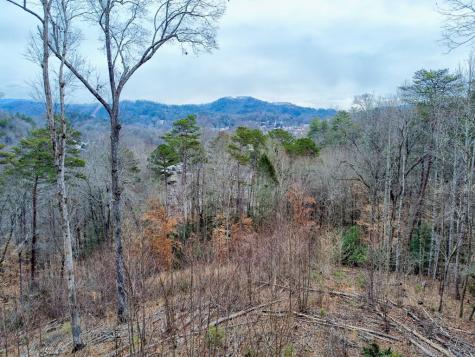 250 Lovers Leap Drive Murphy NC 28906