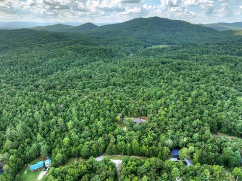 185 Pine Lane Mineral Bluff GA 30559