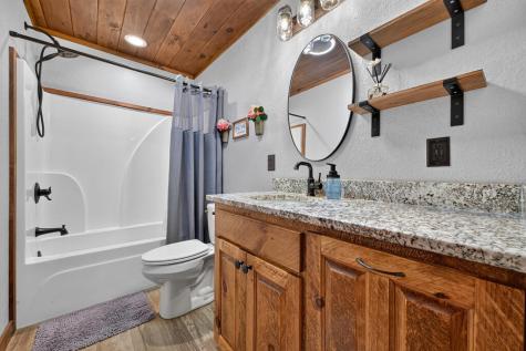 185 Pine Lane Mineral Bluff GA 30559