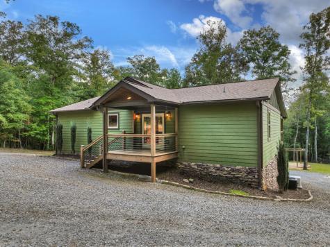 185 Pine Lane Mineral Bluff GA 30559
