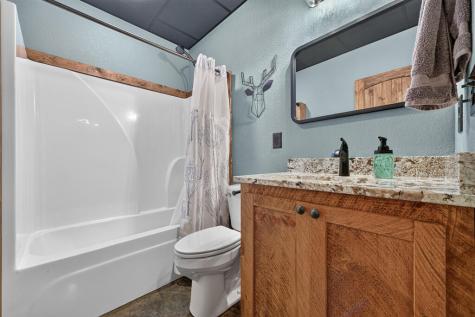 185 Pine Lane Mineral Bluff GA 30559