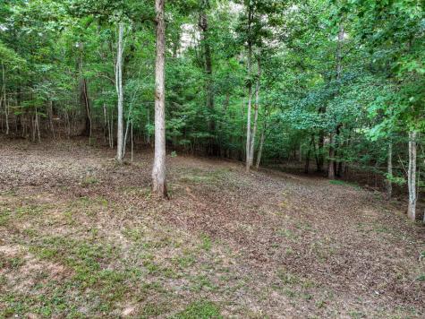 185 Pine Lane Mineral Bluff GA 30559