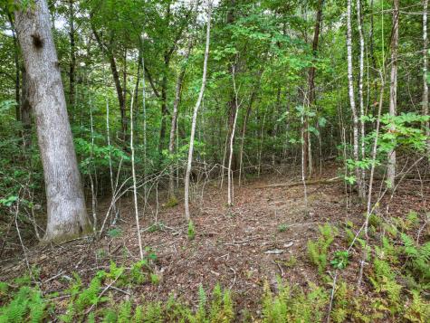 185 Pine Lane Mineral Bluff GA 30559