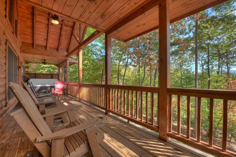 53 Haley Drive Cherry Log GA 30522
