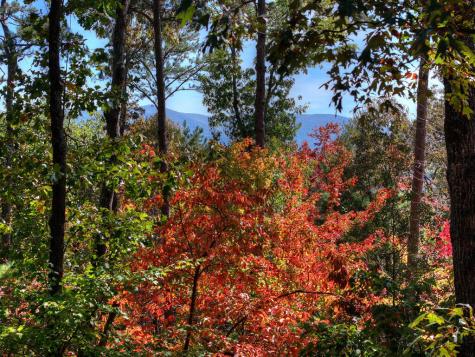53 Haley Drive Cherry Log GA 30522