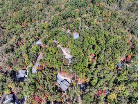 53 Haley Drive Cherry Log GA 30522