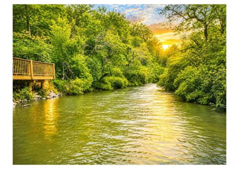 279 S Riverview Ellijay GA 30536
