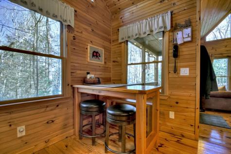 79 Icy Lane Blue Ridge GA 30513