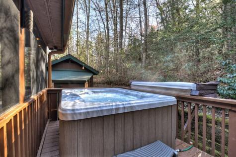79 Icy Lane Blue Ridge GA 30513
