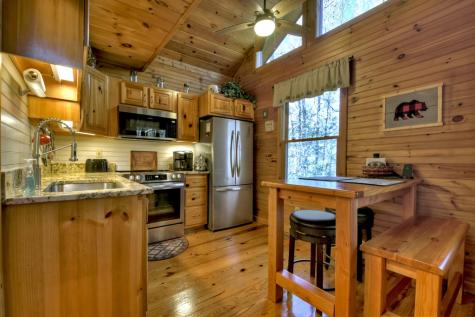 79 Icy Lane Blue Ridge GA 30513