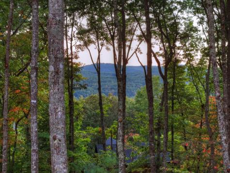 357 Spring Ridge Trail Morganton GA 30560