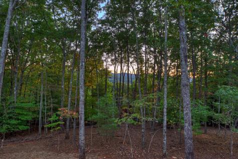 357 Spring Ridge Trail Morganton GA 30560