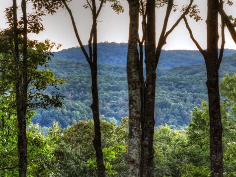 357 Spring Ridge Trail Morganton GA 30560