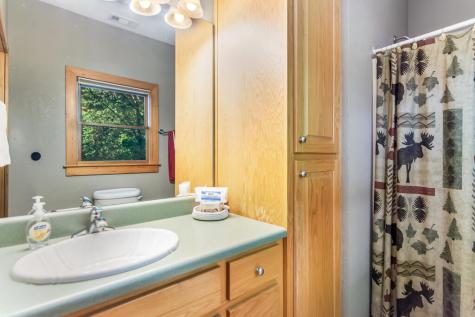525 Gallery Court Ellijay GA 30540
