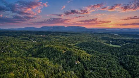 525 Gallery Court Ellijay GA 30540