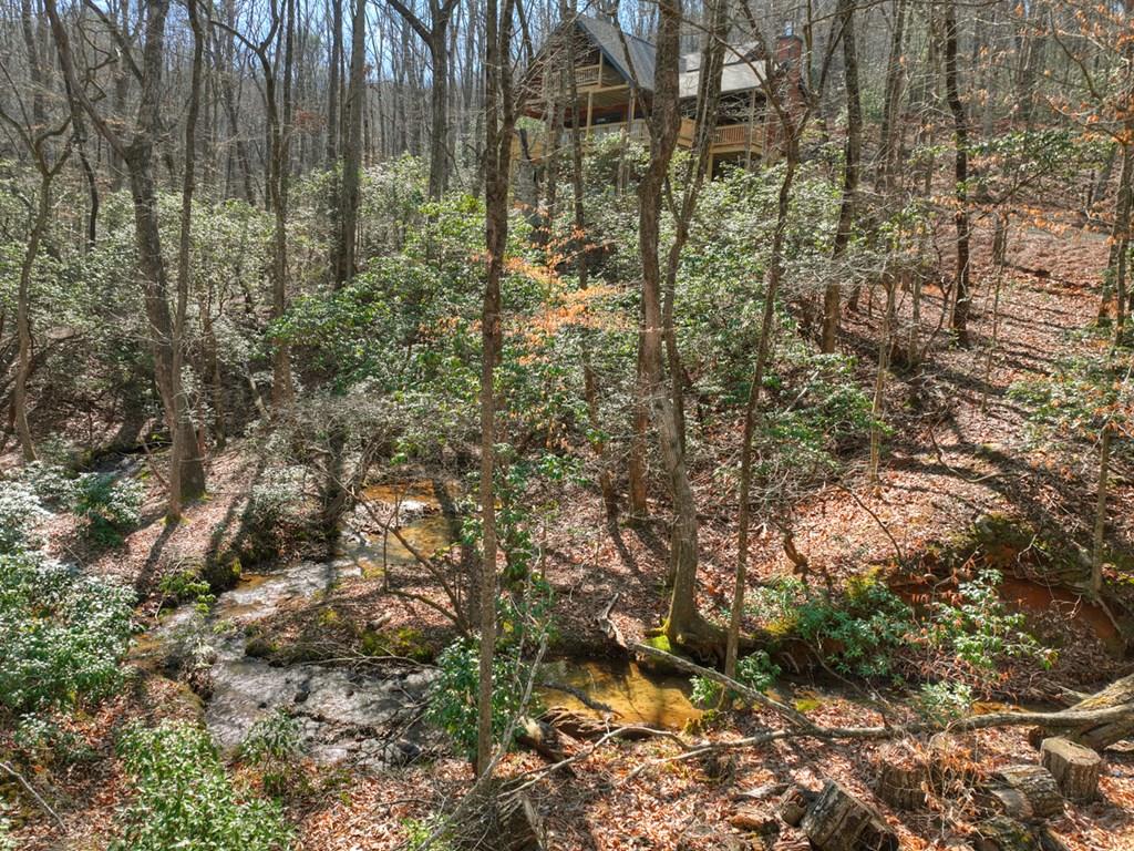811 Mangums Trail Blue Ridge GA 30513