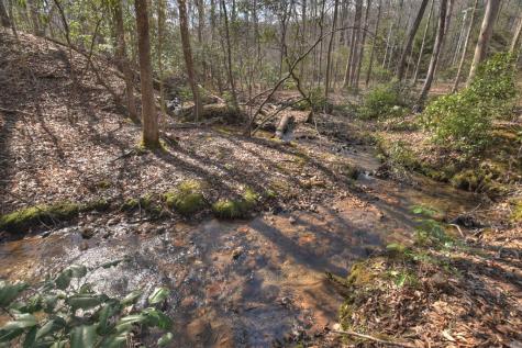 811 Mangums Trail Blue Ridge GA 30513
