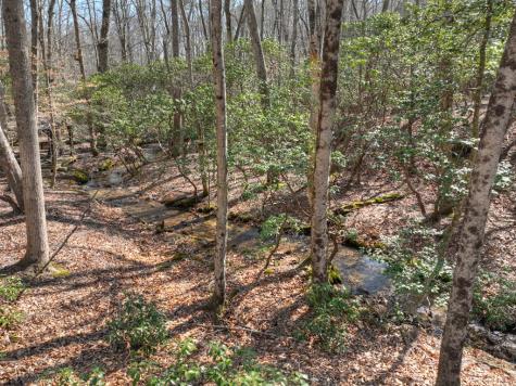 811 Mangums Trail Blue Ridge GA 30513