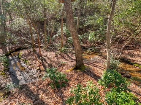 811 Mangums Trail Blue Ridge GA 30513
