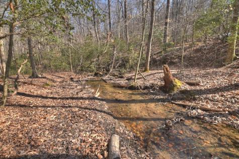 811 Mangums Trail Blue Ridge GA 30513