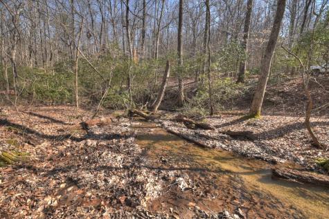 811 Mangums Trail Blue Ridge GA 30513