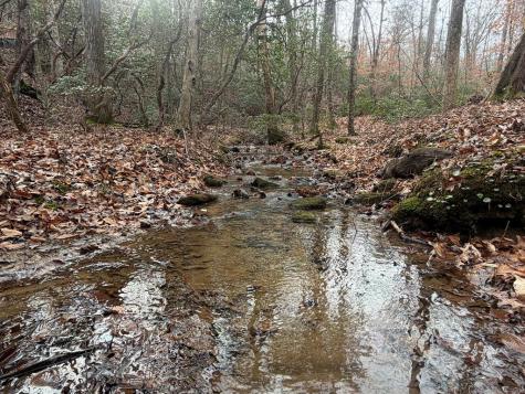 811 Mangums Trail Blue Ridge GA 30513
