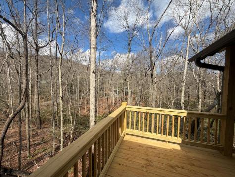 811 Mangums Trail Blue Ridge GA 30513