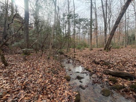 811 Mangums Trail Blue Ridge GA 30513