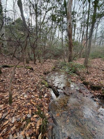 811 Mangums Trail Blue Ridge GA 30513