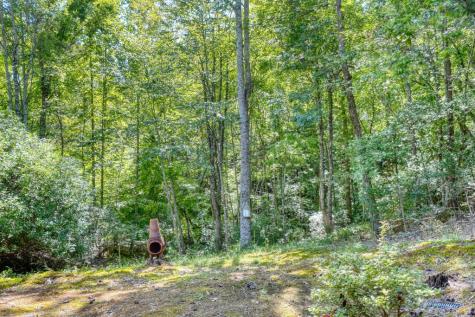 184 Beaver Ridge Road Murphy NC 28906