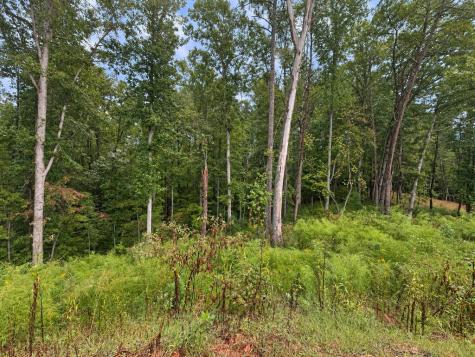 163 Tuscany Drive Ellijay GA 30540