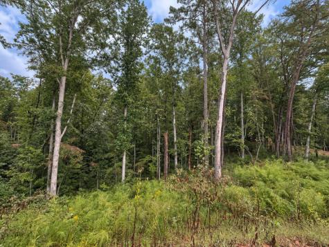 163 Tuscany Drive Ellijay GA 30540
