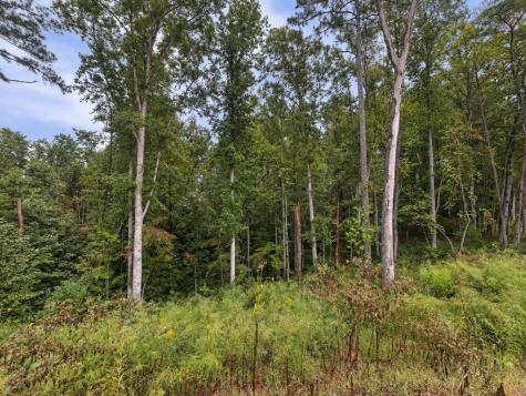 163 Tuscany Drive Ellijay GA 30540