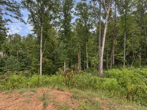 163 Tuscany Drive Ellijay GA 30540