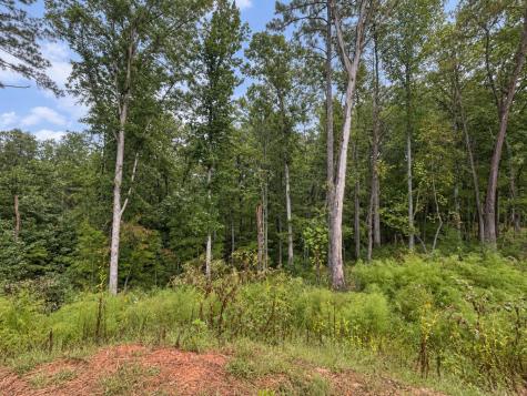 163 Tuscany Drive Ellijay GA 30540