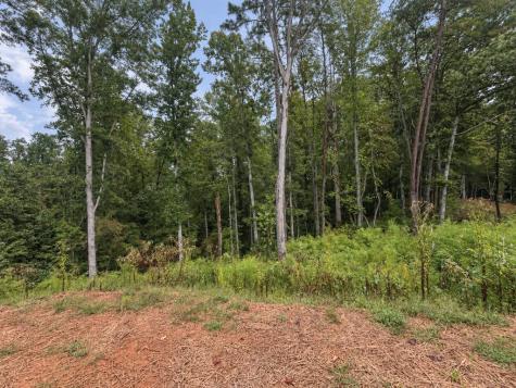 163 Tuscany Drive Ellijay GA 30540