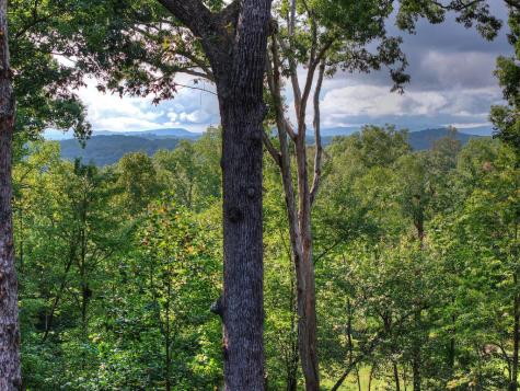 955 Old Toccoa Loop Mineral Bluff GA 30559