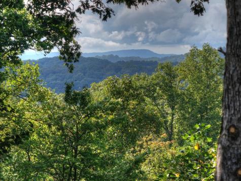 955 Old Toccoa Loop Mineral Bluff GA 30559