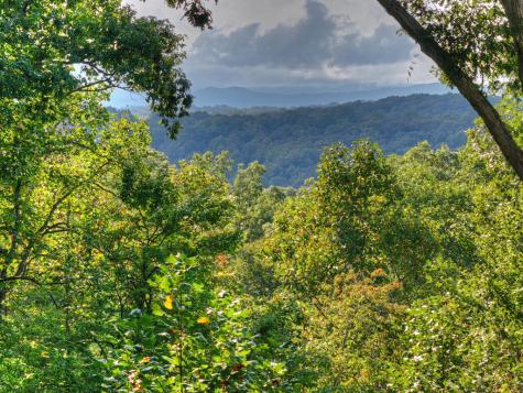 955 Old Toccoa Loop Mineral Bluff GA 30559