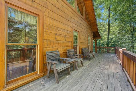 66 Windy Hill Drive Cherry Log GA 30540