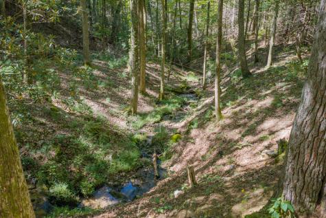 66 Windy Hill Drive Cherry Log GA 30540