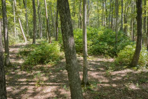 66 Windy Hill Drive Cherry Log GA 30540
