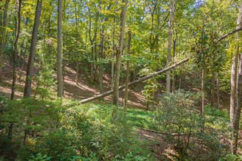 66 Windy Hill Drive Cherry Log GA 30540