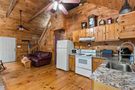 22 Mangums Trail Blue Ridge GA 30513